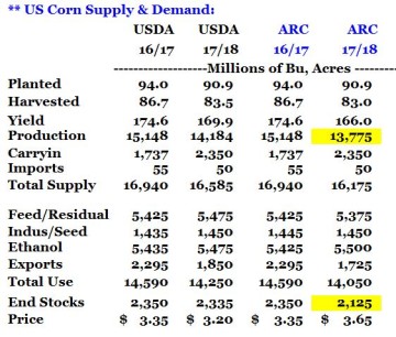 corn bs 9-12