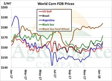 corn 1-19