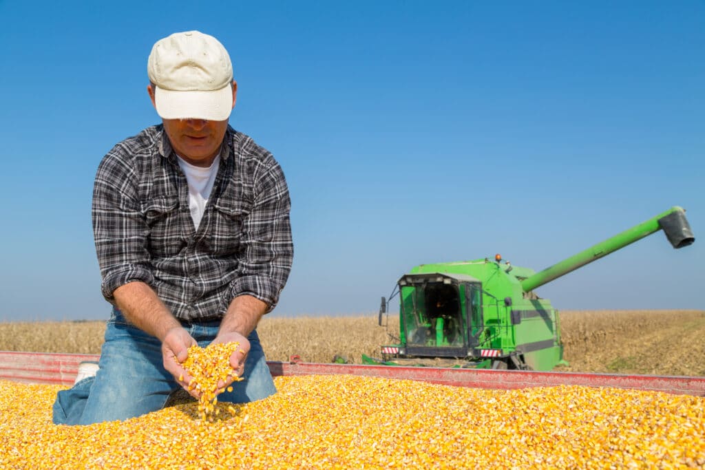 2020 US Corn Production Estimate AgResource Company
