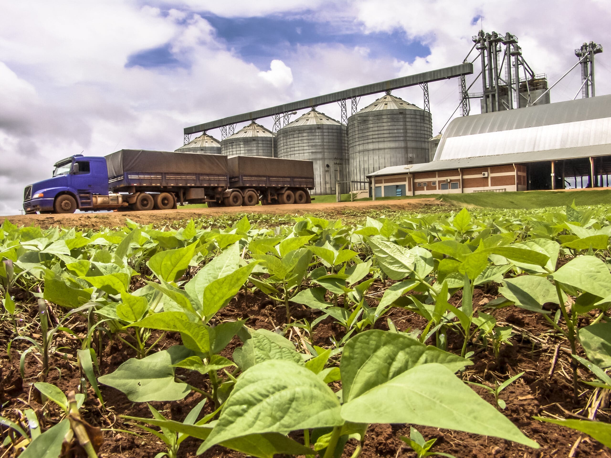 Brazilian Soybean Exports in February | AgResource Company